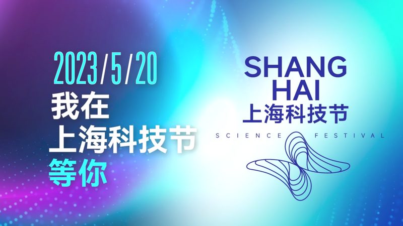 外贸企业如何实现高效的多语言搜索支持