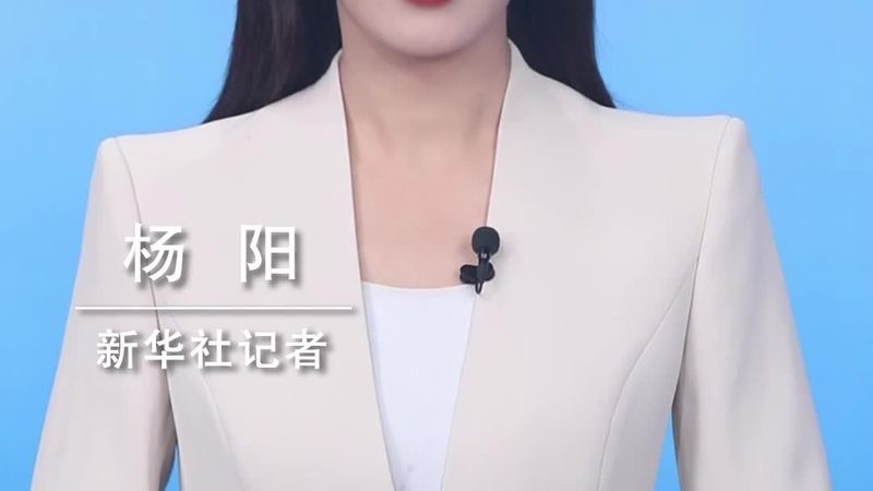 RPA脚本编写：高效自动化流程的秘密武器