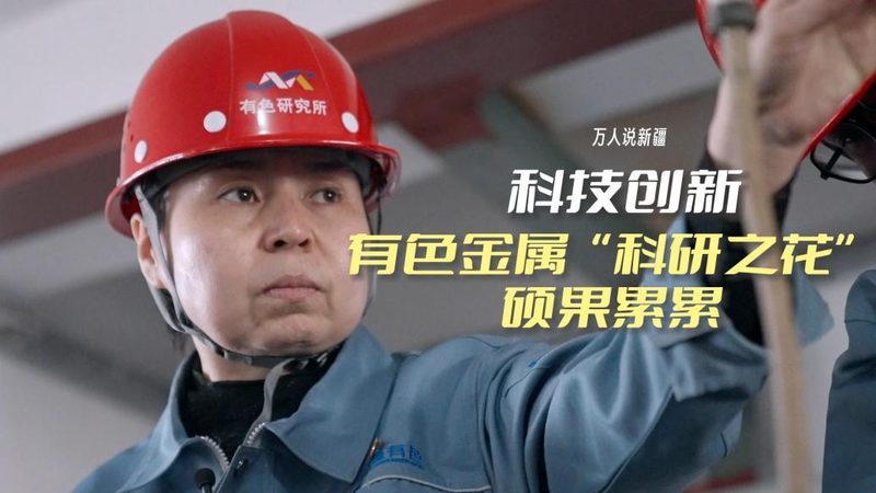 企业级人工智能应用实战：案例分析与实践要点